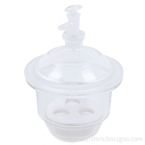 180mm Borosilicate Desiccator Glass - Clear Laboratory Glassware